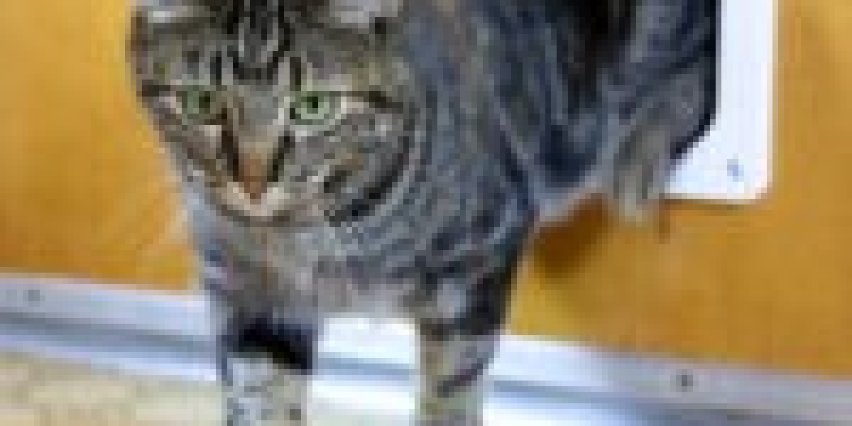 Responsible For An Custom Cat Flap Installation Budget? 10 Unfortunate Ways To Spend Your Money