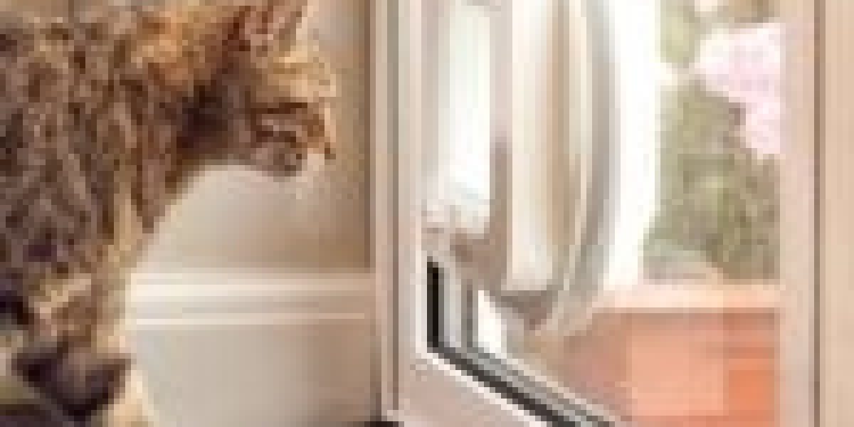 What Is The Reason? Expert Pet Door Installation Is Fast Becoming The Trendiest Thing Of 2024
