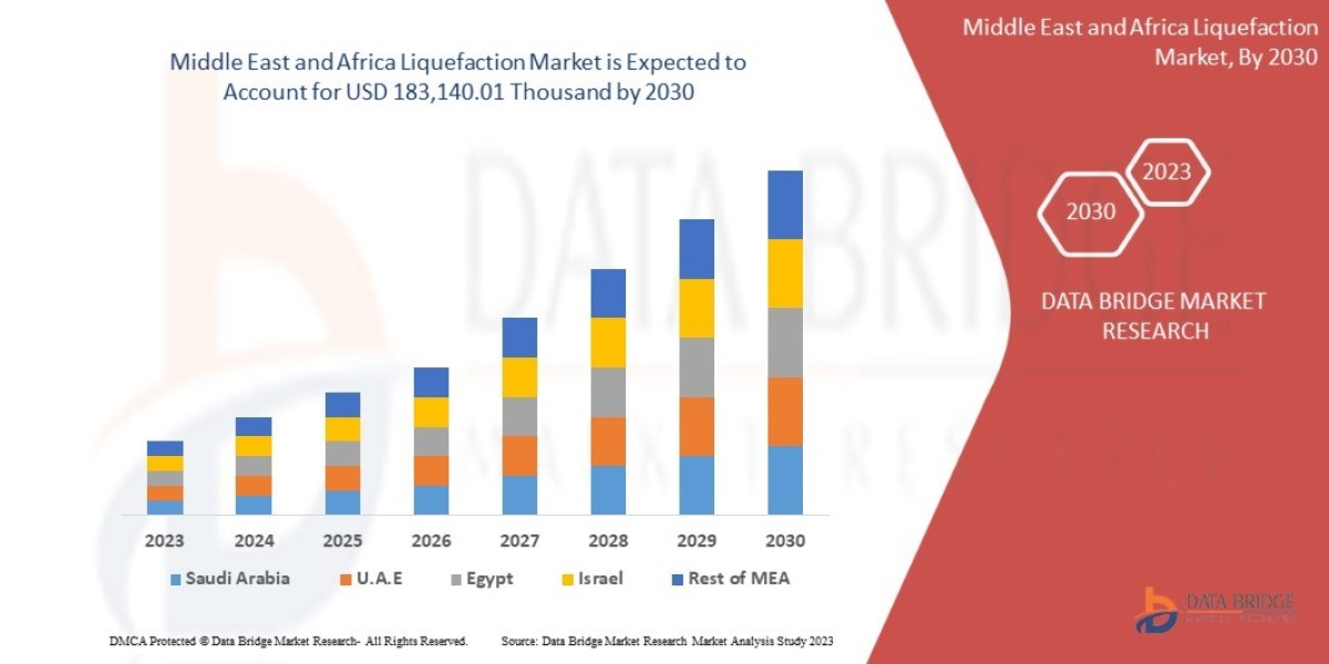 Middle East and Africa Liquefaction Market Trajectory, Demand Flow, Insights, Innovation, and Outlook