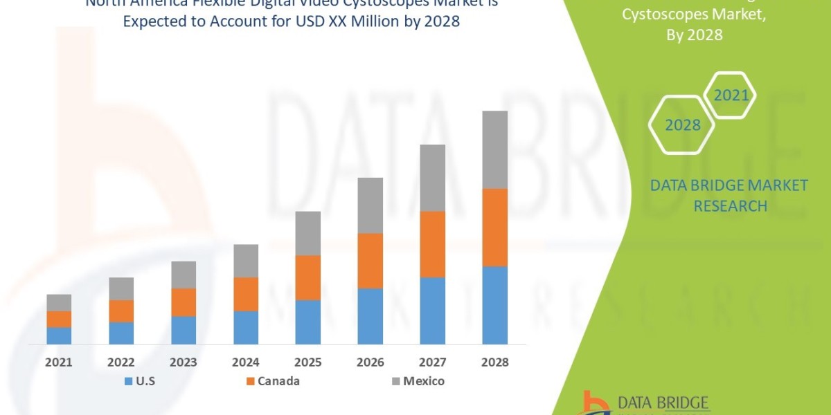 North America Flexible Digital Video Cystoscopes Market Advances with Rising Urological Procedures