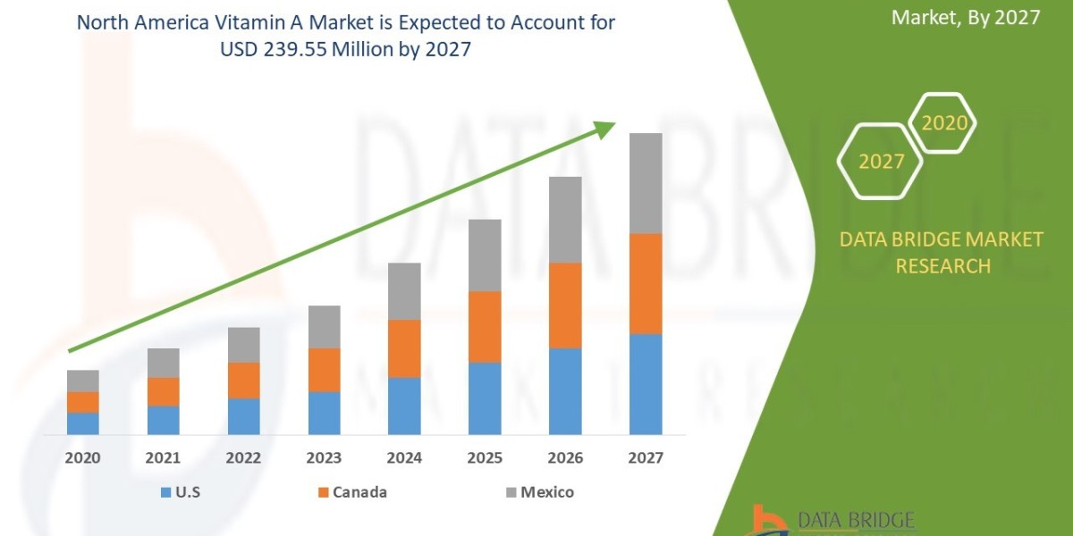 North America Vitamin A Market Size, Share, and Growth Opportunities 2024 –2031