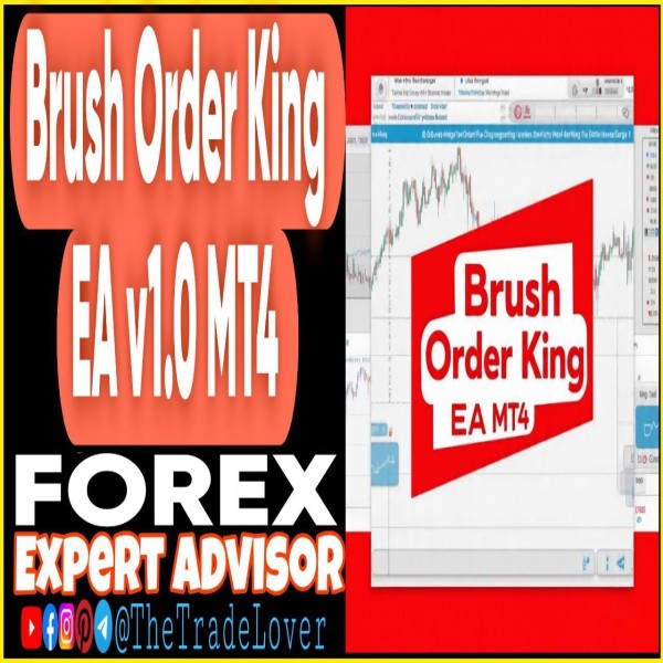 Brush Order King EA v1.0 MT4 (Works on Build 1441+) | Forex Robot | MT4 Expert Advisor - The Trade Lovers