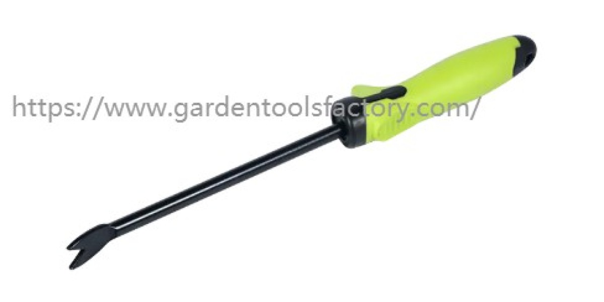 Why a Floral Garden Tools Set is the Perfect Companion for Garden Lovers?