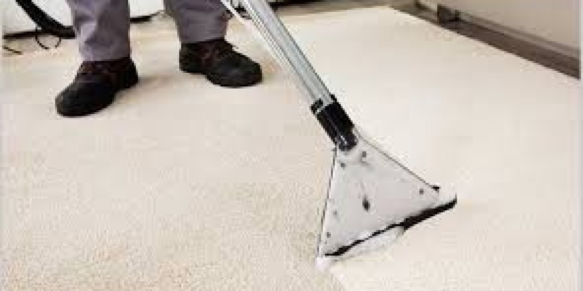 ﻿﻿Carpet Cleaning Services for Pet Owners