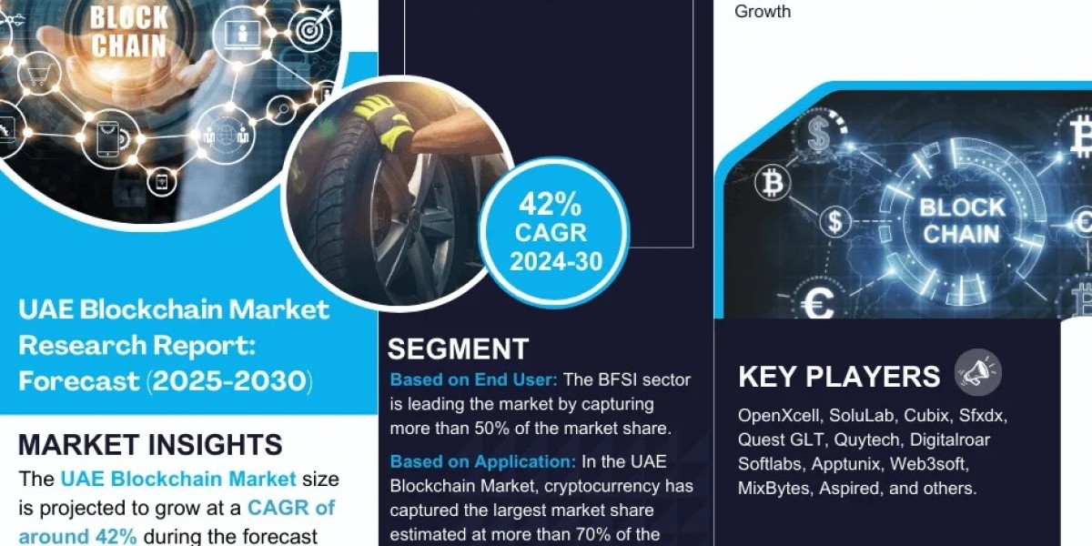 UAE Blockchain Market Report 2025–2030: Size, Share, Trends & Forecast