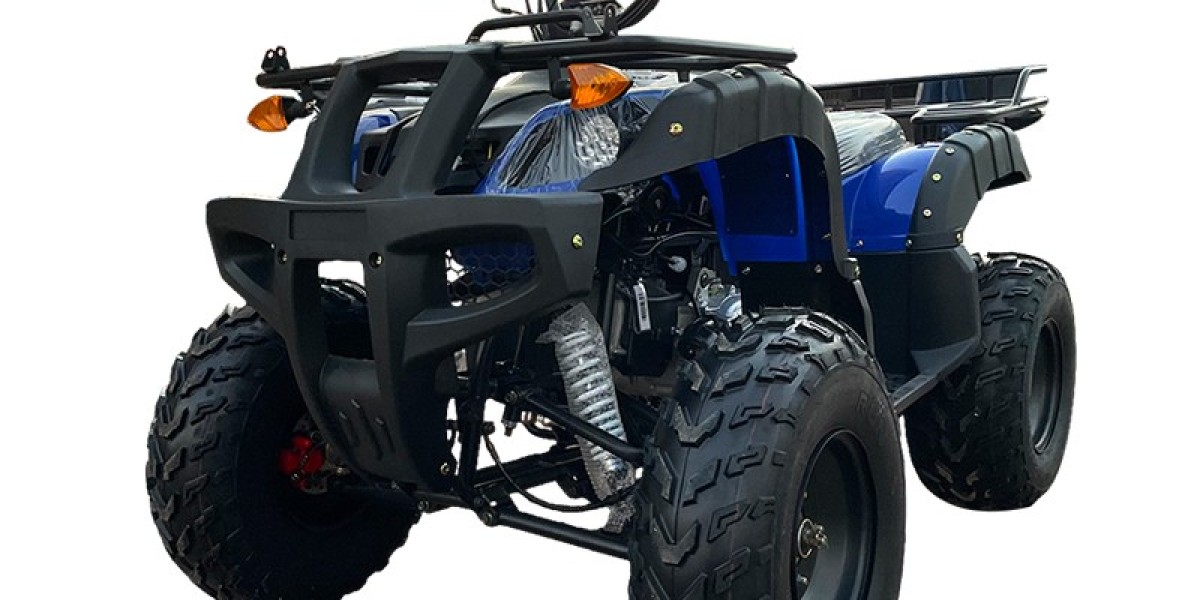 Understanding the Features and Applications of an Adult Beach Car