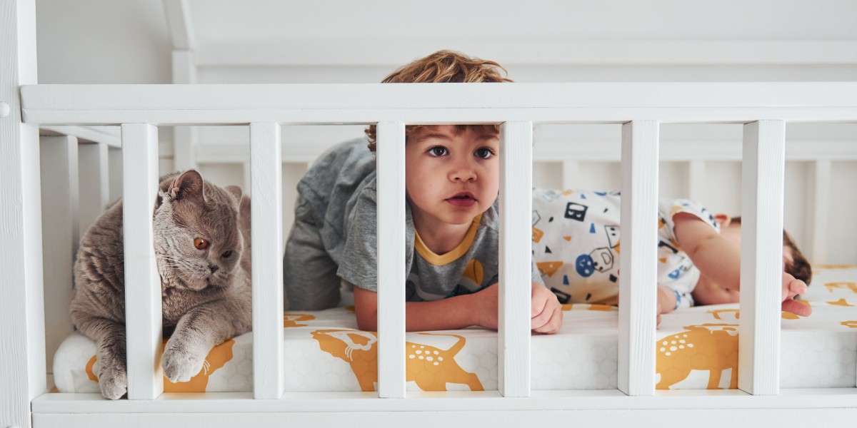 The Advanced Guide To Best Cot Bed