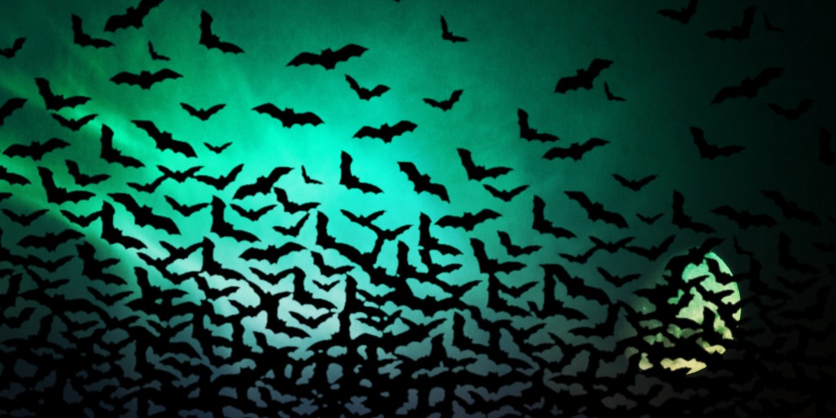 Best Erectile Dysfunction Pills You Can Buy Online: A Comprehensive Guide