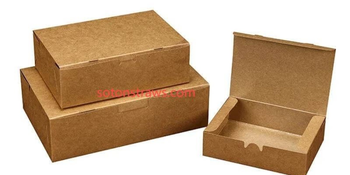 The Hidden Potential of Soton’s Food-Grade Disposable Kraft Boxes