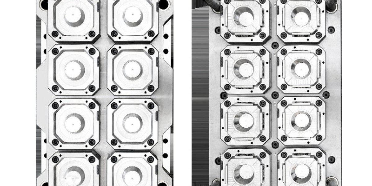 Applications and Variations of Plastic Cup Moulds