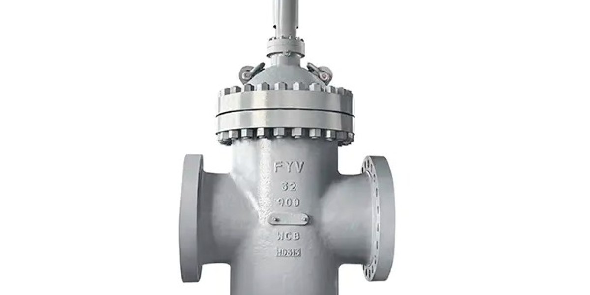 Built for the Extremes: Fangyuan's Expanding Gate Valve in Demanding Applications
