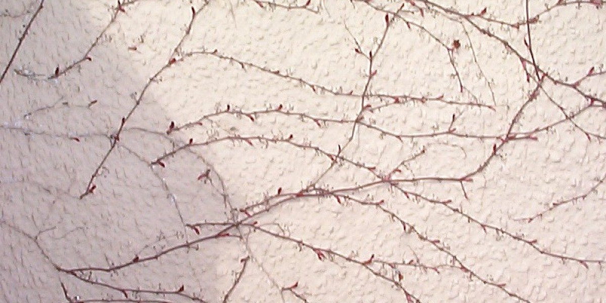 Metandienone Wikipedia