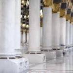madinah teach 3 Profile Picture