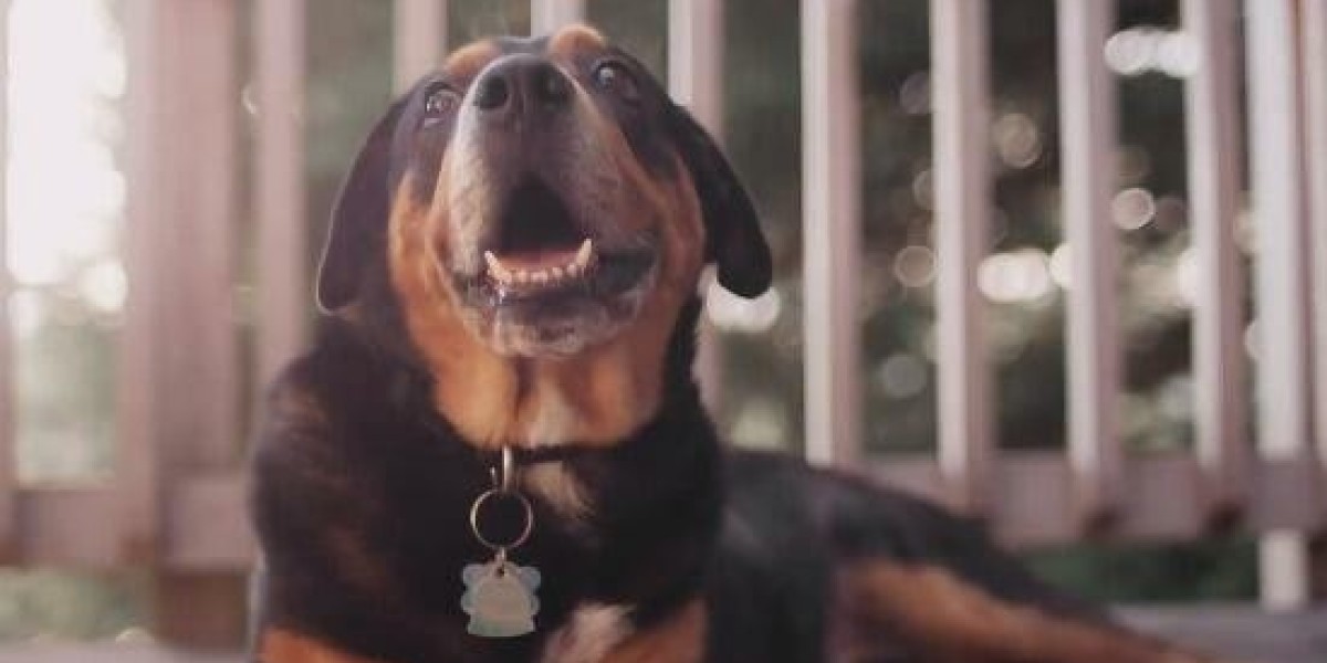 Balogun Excited About Nasarawa Move, Says New Coach