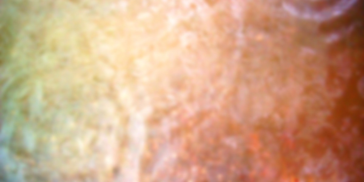 Photos & Virtual Tours