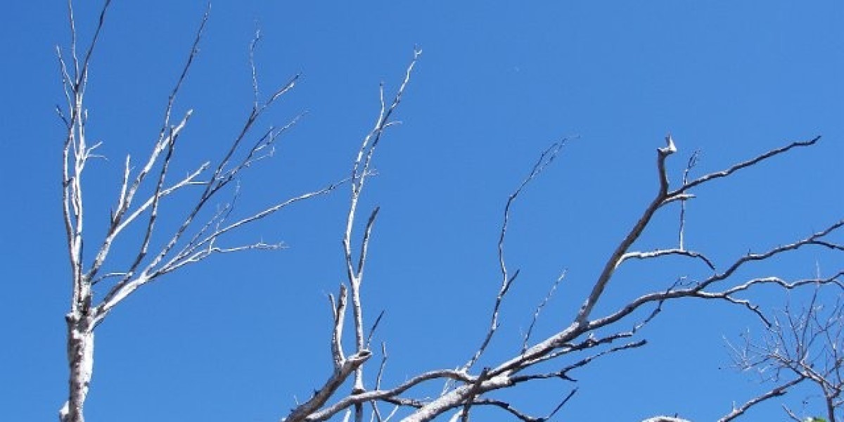 Online Gambling with Fast Payouts and Safe Play