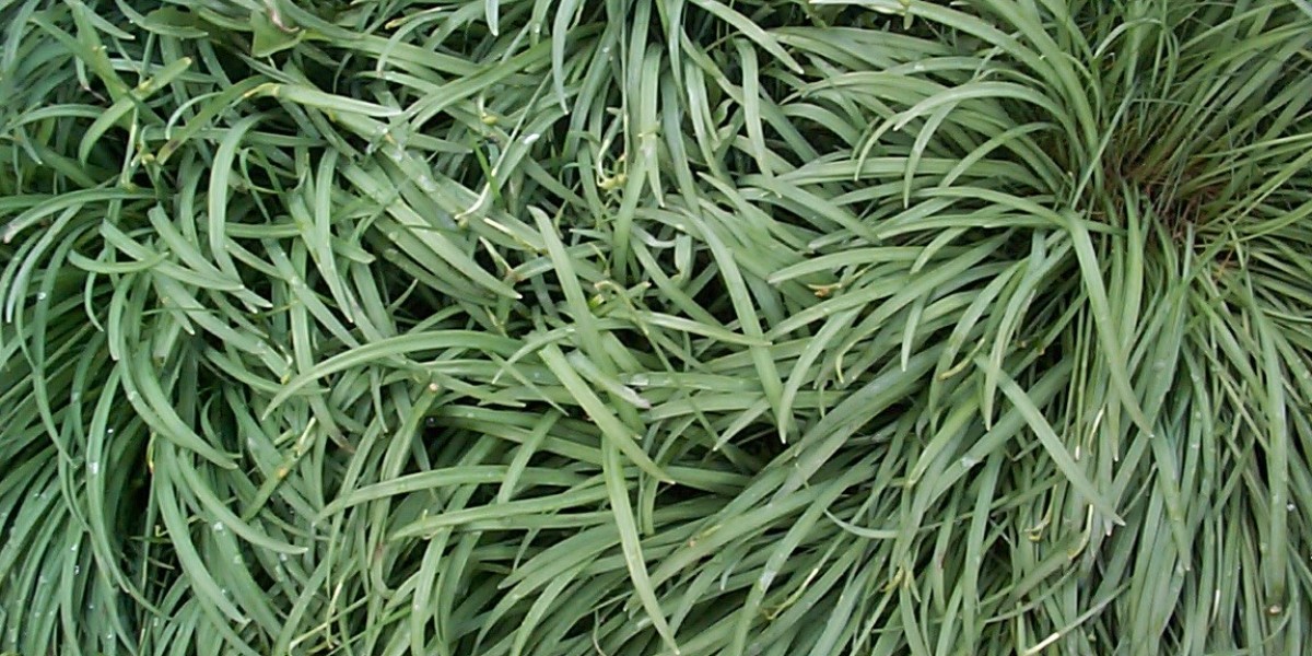 Windhoek Country Club Resort & Casino About Us