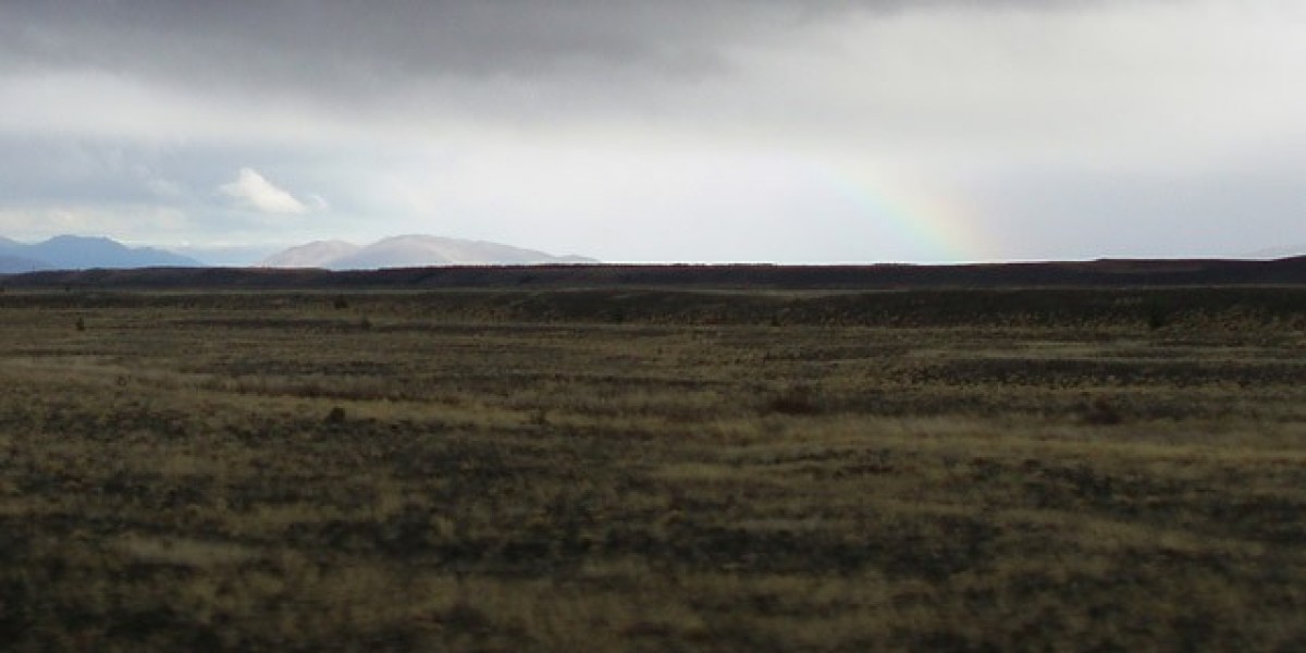 Best Online Casinos for Real Money Payout 2025