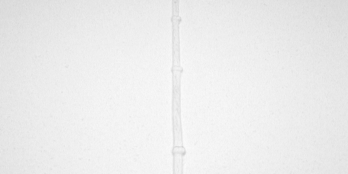 Star casino Brisbane: an icon of entertainment in Australia