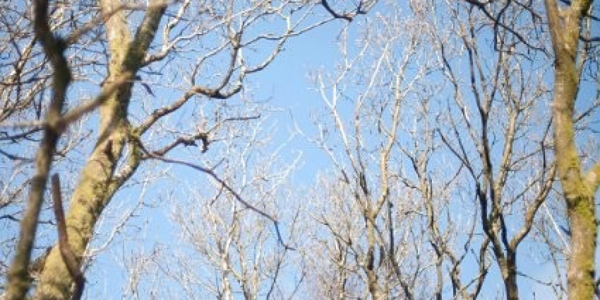 Fair Go Casino Login: Claim Your Bonuses & Start Winning