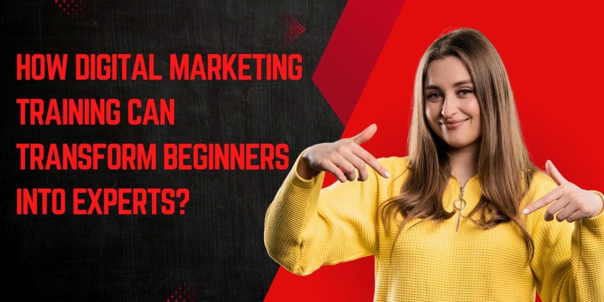 How Digital Marketing Training Can Transform Beginners into Experts?