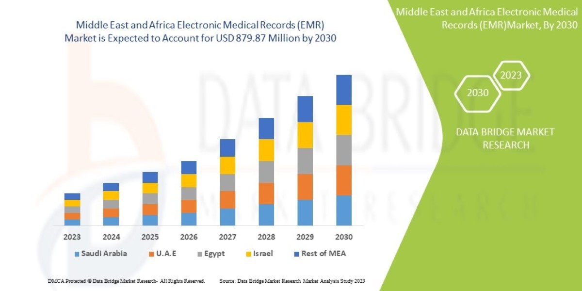 Middle East and Africa Electronic Medical Records (EMR) Market Trends: Growth, Share, Value, Size, and Analysis